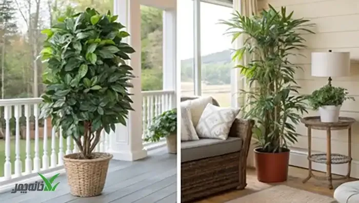 کاربردهای درختچه مصنوعی